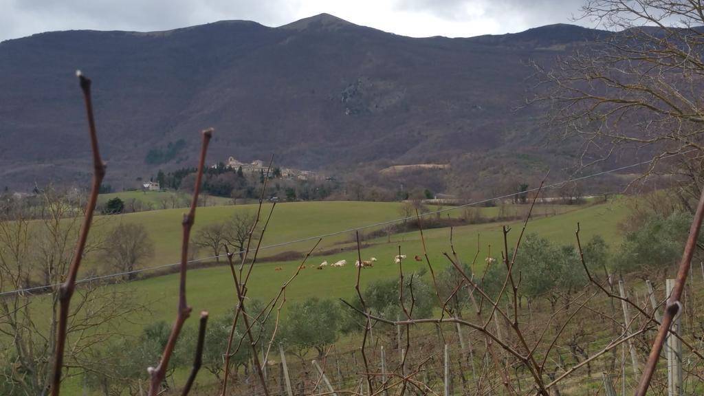 Pietra Maula Agriturismo Castelraimondo Exterior foto